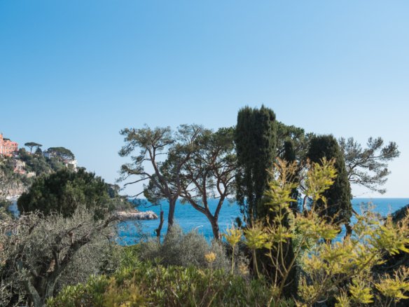 584